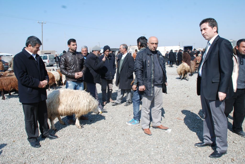 Iğdır'da Kesimhane ve Hayvan Pazarı Denetlendi