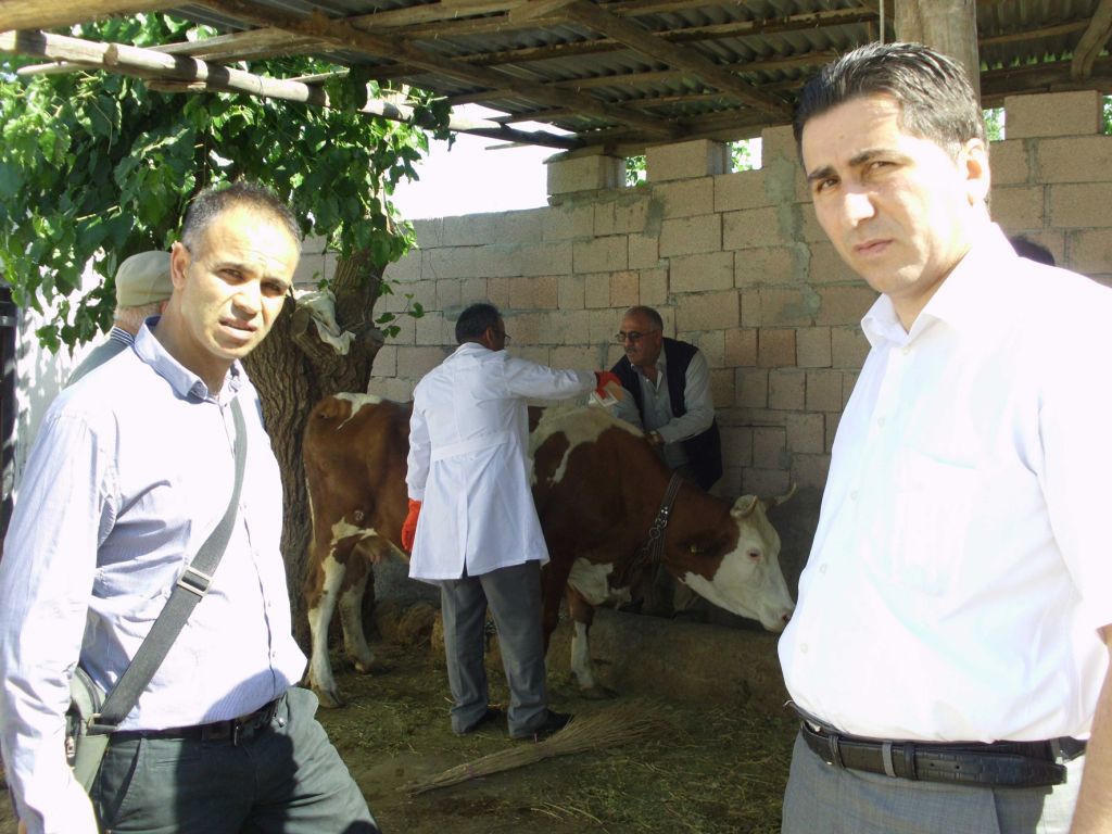 Gıda Kapsamında Kene Zararlısı ve KKKA Hastalığı ile Mücadele Başlattı