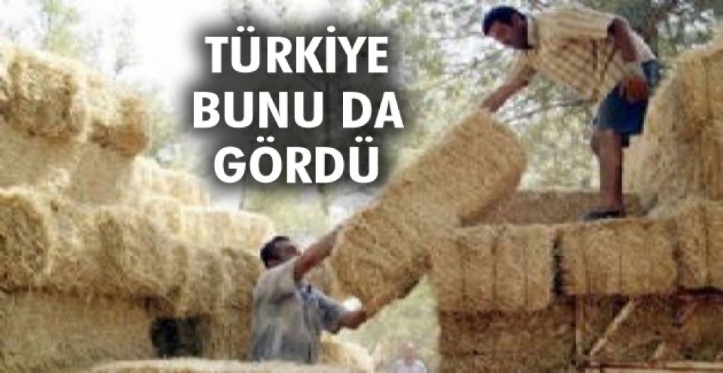 Saman ve ot ithal edecek