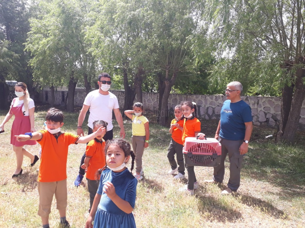 Öğrencilerden örnek davranış Yaralı karga güvenli ellerde