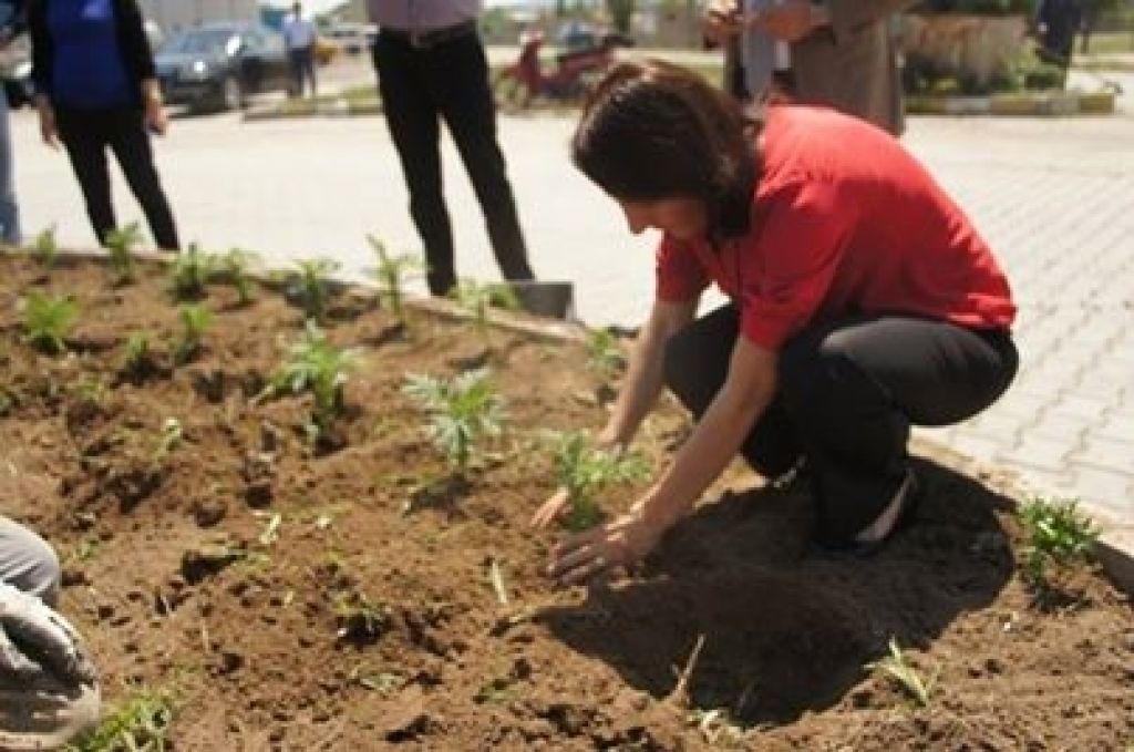 Eş Başkandan Dünya Çevre Günü Mesajı