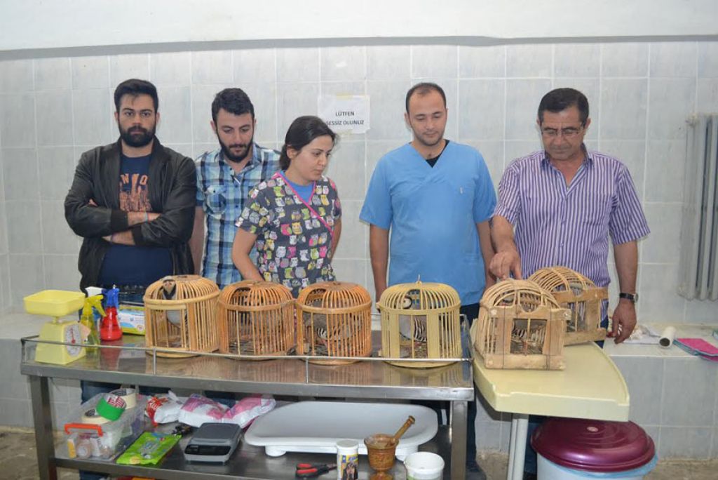 Kafes Avcıları Avlandı