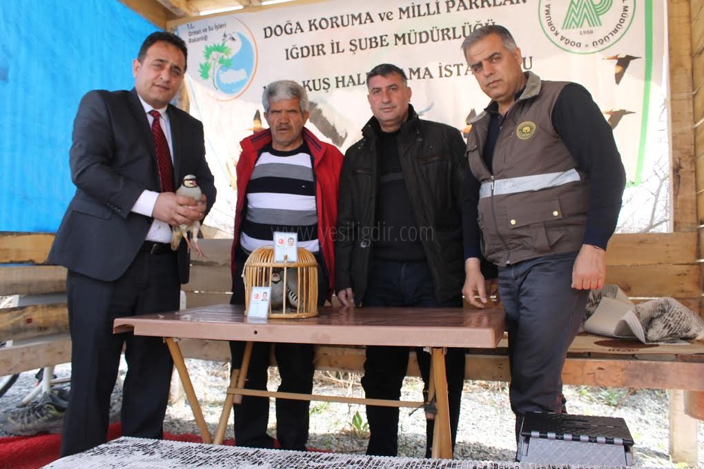 IĞDIRDA FAHRİ AV MÜFETTİŞİ KEKLİKÇİLERİ YAKALADI