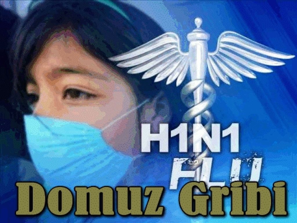 Domuz gribi 33 can aldı