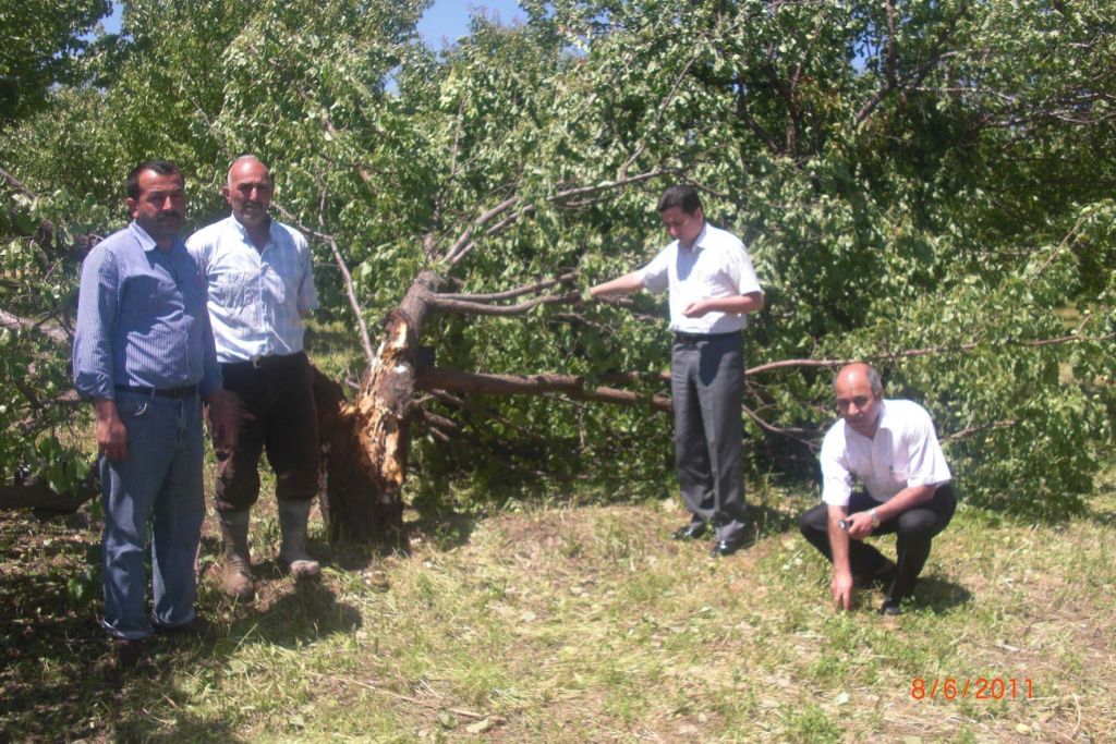 Dolu Ürünleri Yerle Bir Etti