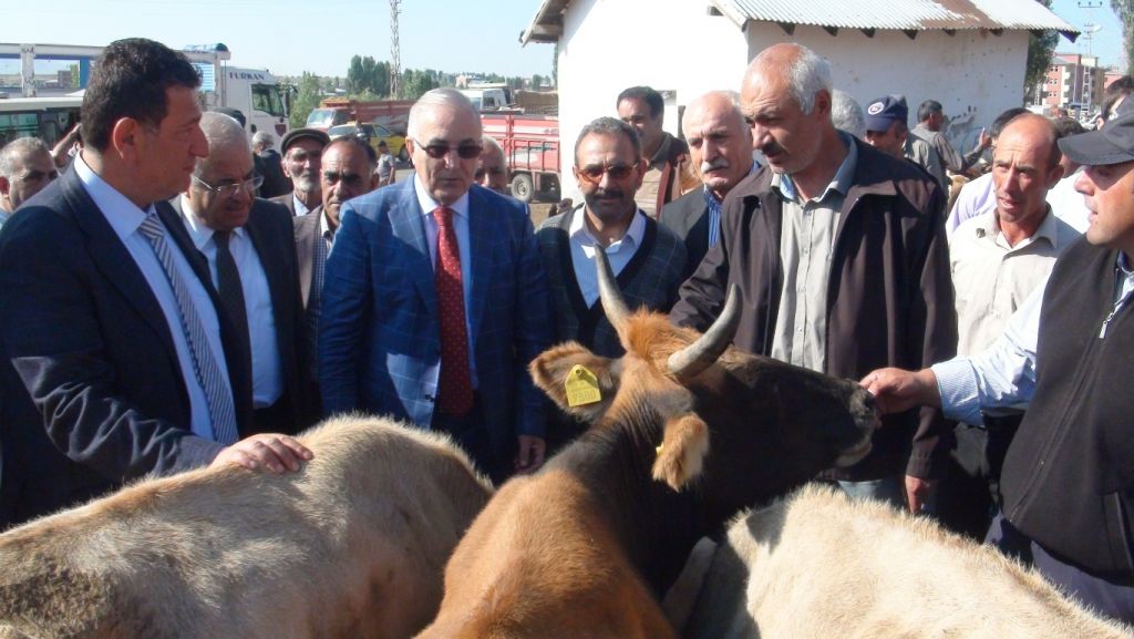 Kurbanlıklar Avrupa Yakasında
