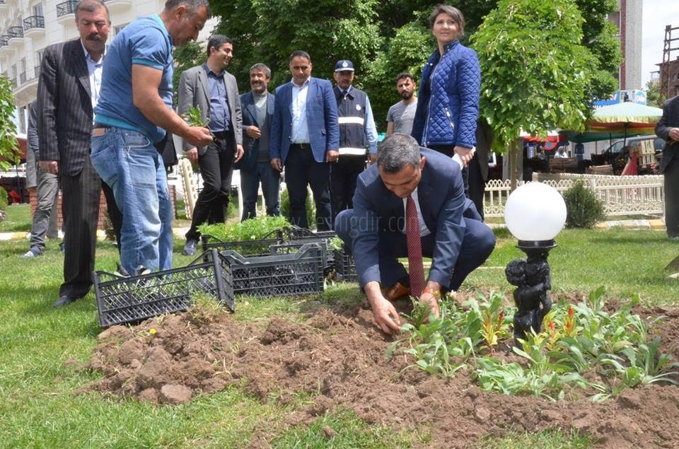 Iğdırda Yeşil Alanlar Mevsimlik Çiçeklerle Donatılıyor