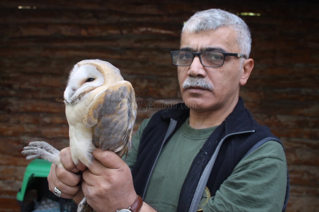 PEÇELİ BAYKUŞ TEDAVİ ALTINA ALINDI