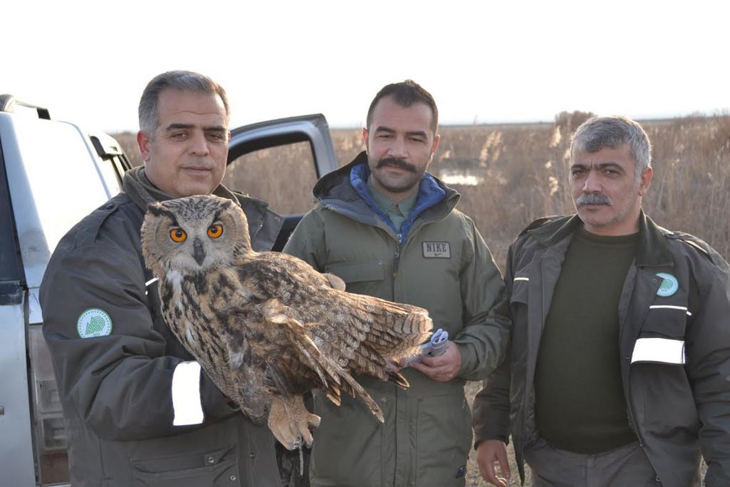 Doğa Severler İş Başında
