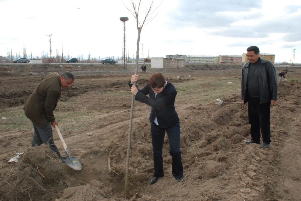 Karakoyunlu İlçesine Fidan Dikimi Yapıldı