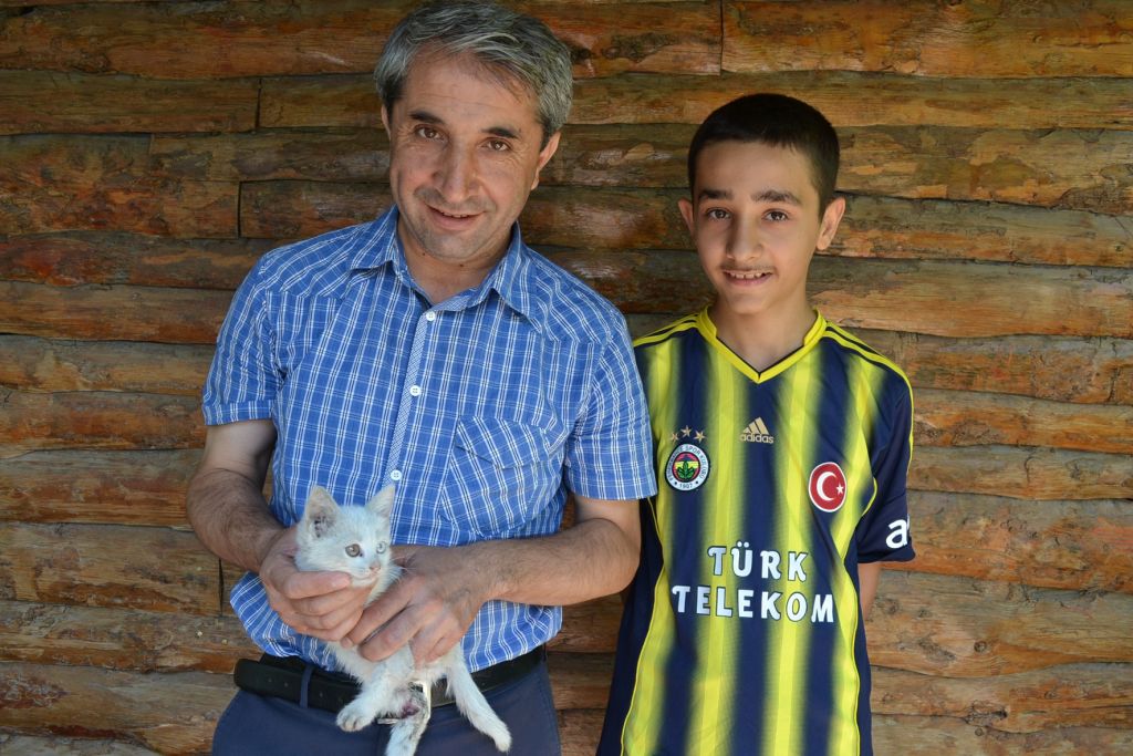 Van Kedisi Tedavi Altına Alındı