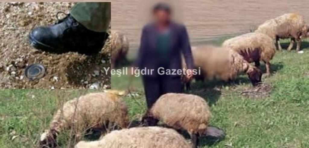 Koyunlarını Otlatan Çoban Mayına Bastı
