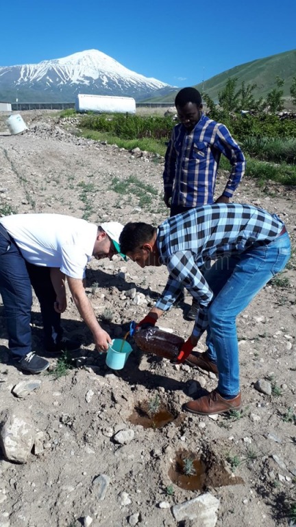 Peyjaz Alanındaki Bitkilere Solucan Gübresi İle Sölom Sıvısı Verildi