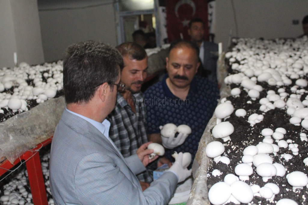 GENÇ ÇİFTÇİ PROJELERİ SAYESİNDE KURULAN İŞLETMELER YÜZLERİ GÜLDÜRÜYOR