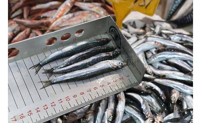 BALIK SATIŞI YAPAN İŞLETMELER DENETLENDİ