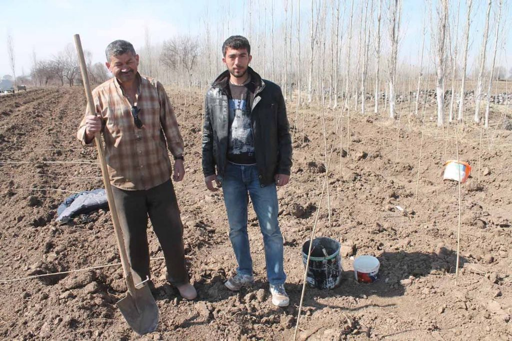 Fidan Dikim Zamanı Başladı