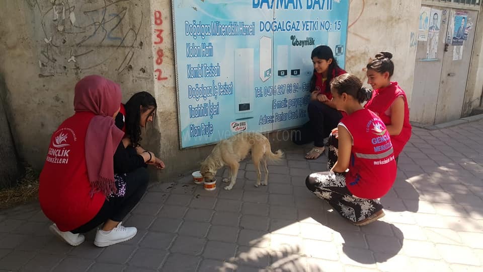 Gençler sokak hayvanlarını unutmadı