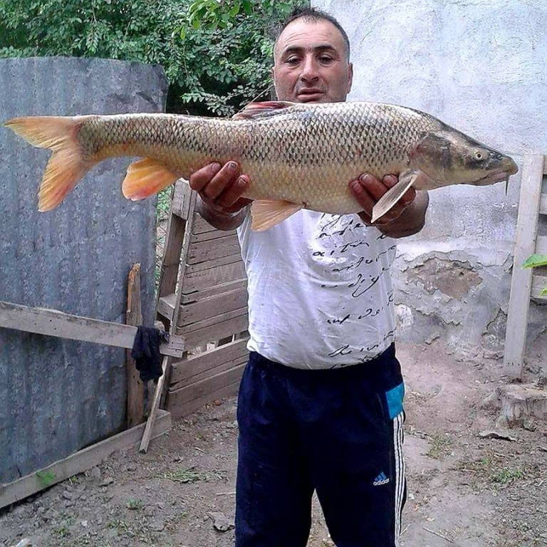 Caner Balığı Yetiştiriciliği İçin Ön Çalışmalara Başlandı
