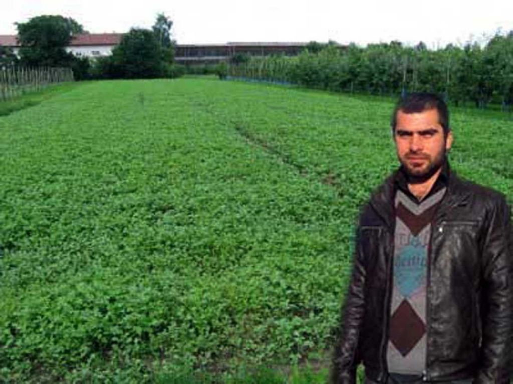 Iğdır'da Yağışlar Çiftçinin Yüzünü Güldürdü