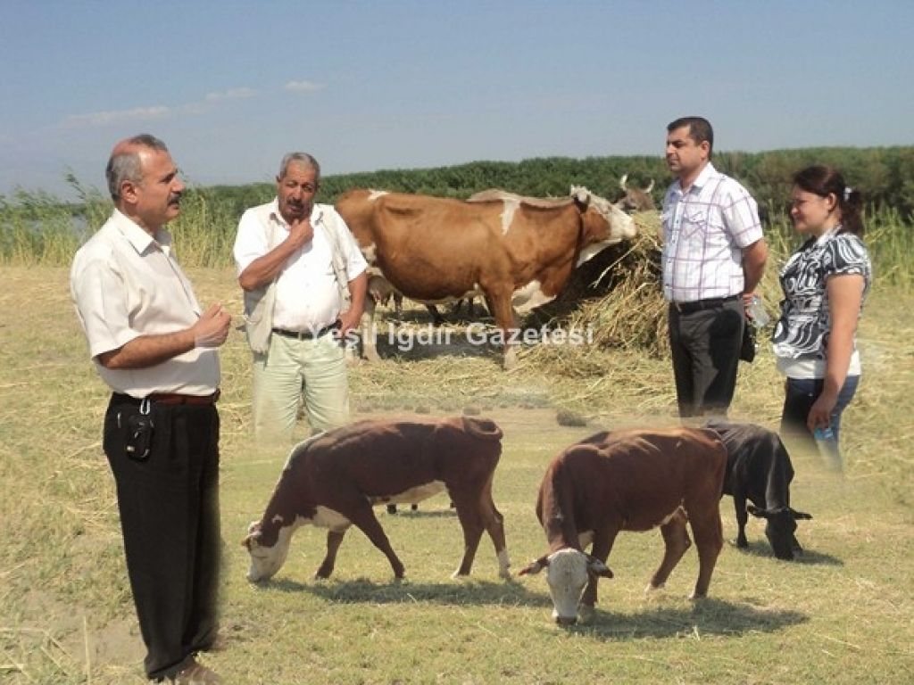 Tarım İl Müdürü Eraslan Damızlık Et Sığırcılığı İşletmesini Ziyaret Etti