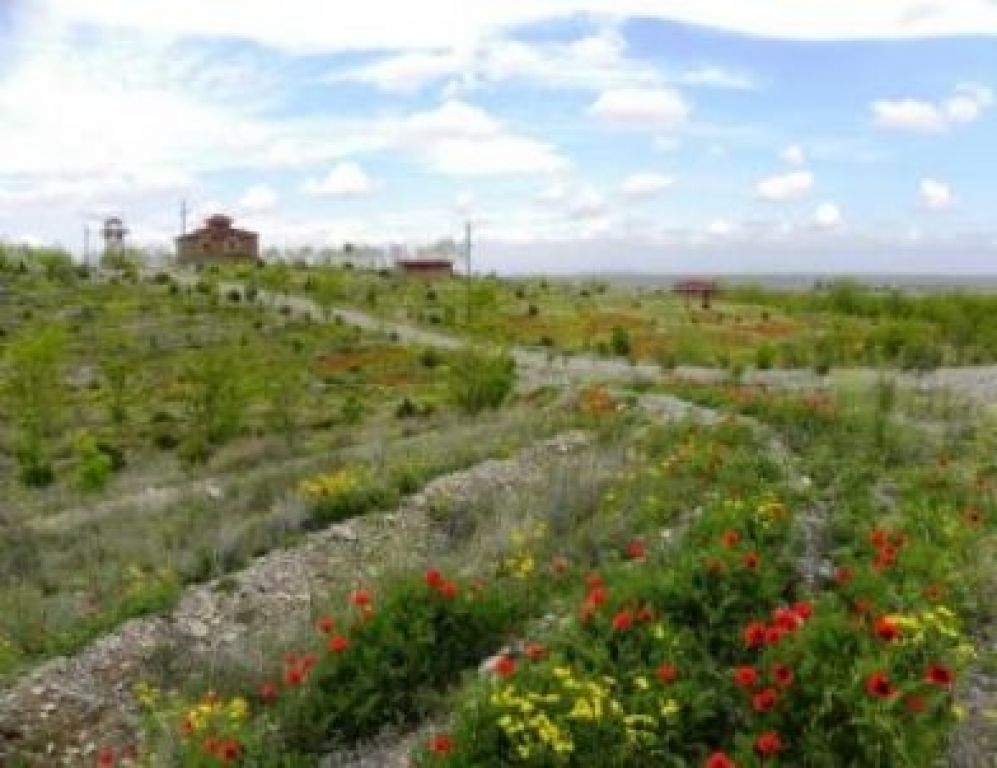 Iğdır Kent Ormanı İlaçlama Nedeniyle Kapalı