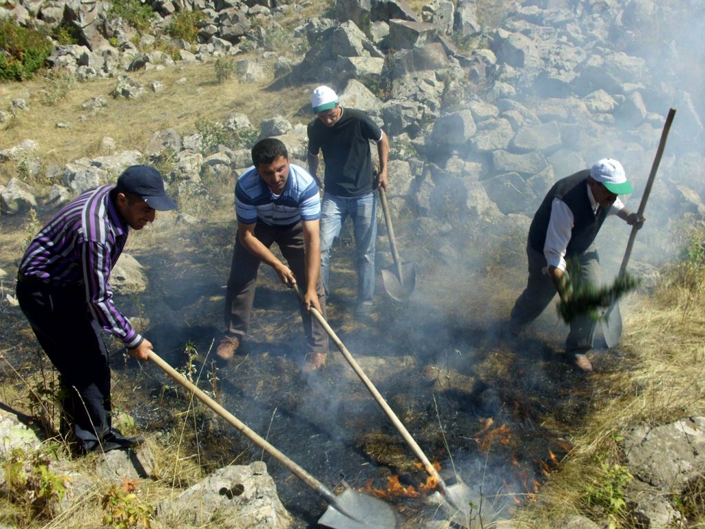 Ağrı Dağında Yangın