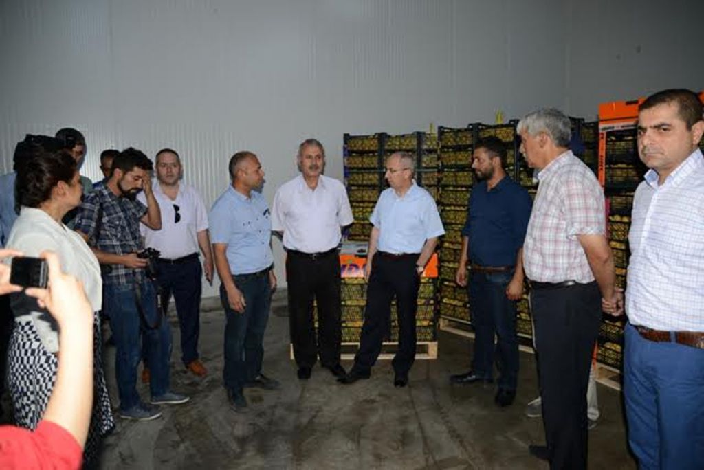 Vali Davut Haner Soğuk Hava Deposunda İncelemelerde Bulundu