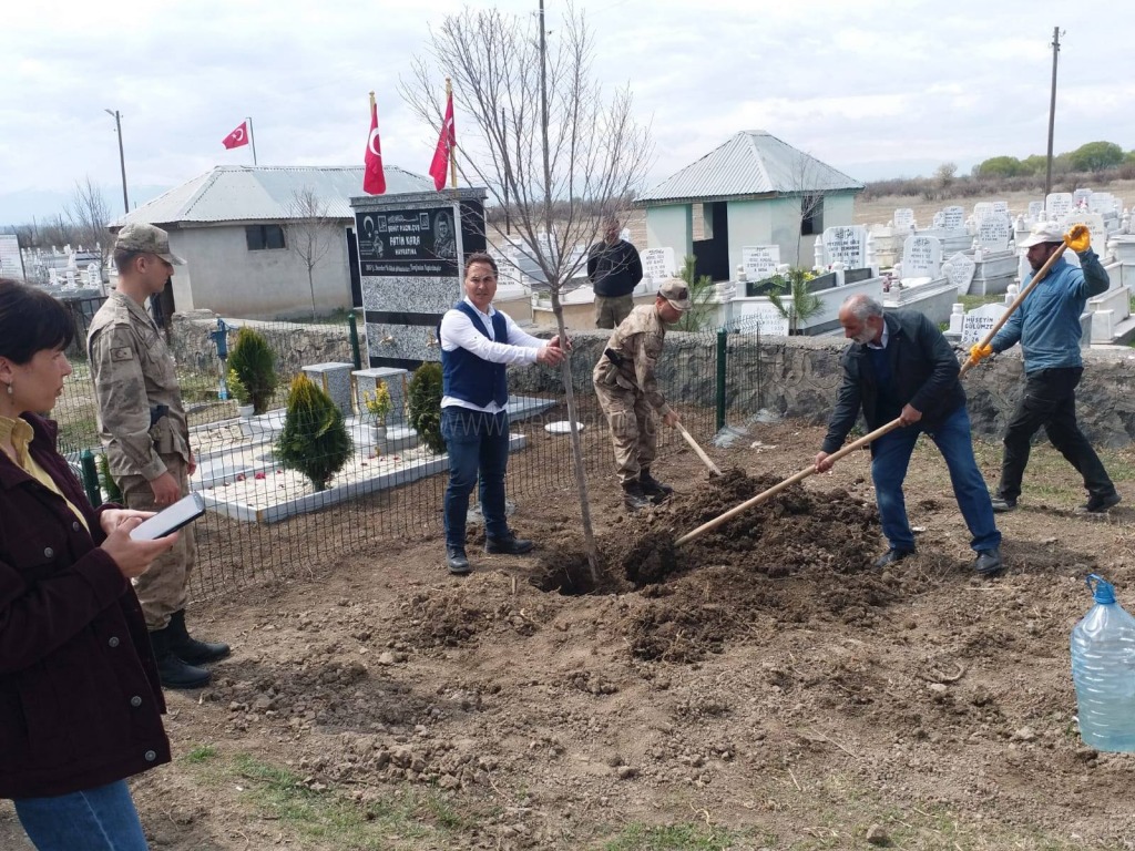 Şehitlik Ağaçlarla Donatıldı