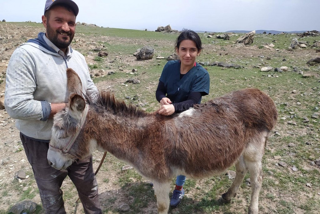 HAYVANLARA MİKROÇİP TAKILDI