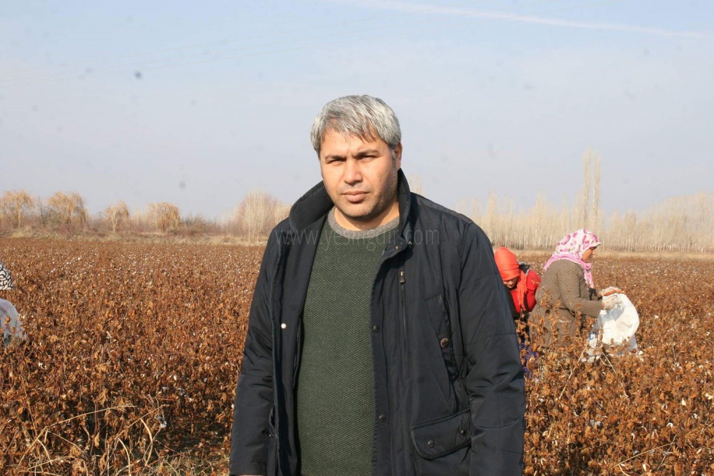 Iğdır'da 26 yıl aradan sonra pamuk hasadı yapıldı