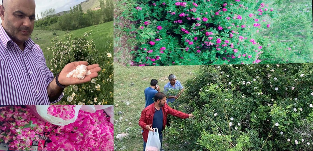TUZLUCA BELEDİYE BAŞKANI TÜRKAN'DAN İHTİYAÇ SAHİPLERİNE DESTEK