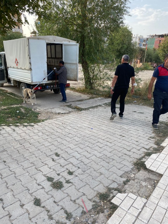 TAŞLARIN ARASINDA YENİ DOĞAN YAVRU KÖPEKLERİ İTFAİYE EKİBİ KURTARDI