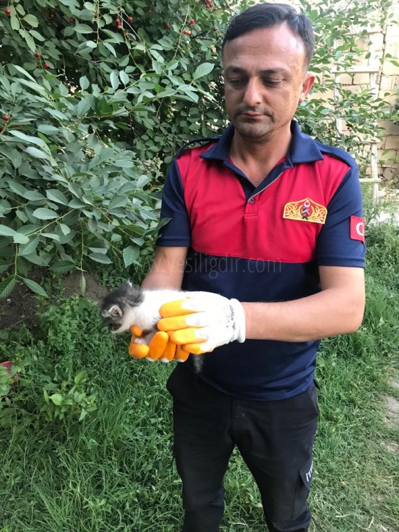 İKİ DUVAR ARASINA SIKIŞAN KEDİ KURTARILDI
