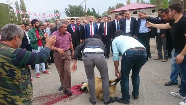 Pulur Köyünde MHP milletvekili Adaylarına coşkulu karşılama