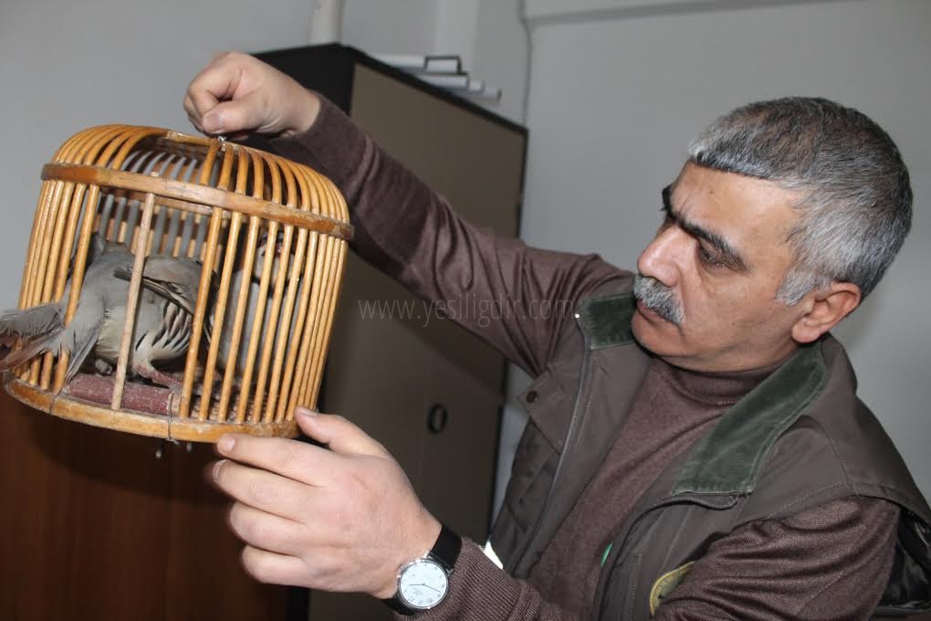 CANLI MÜHRE İLE KAÇAK AVLANAN ŞAHISLARA PARA CEZASI