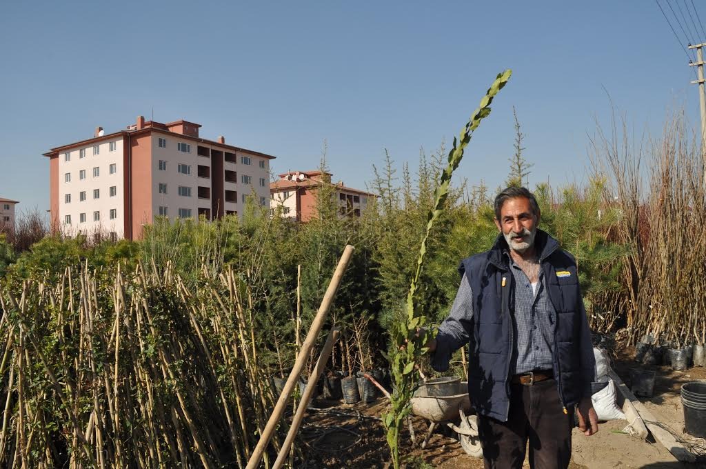 IĞDIR'DA FİDAN SATIŞLARI BAŞLADI