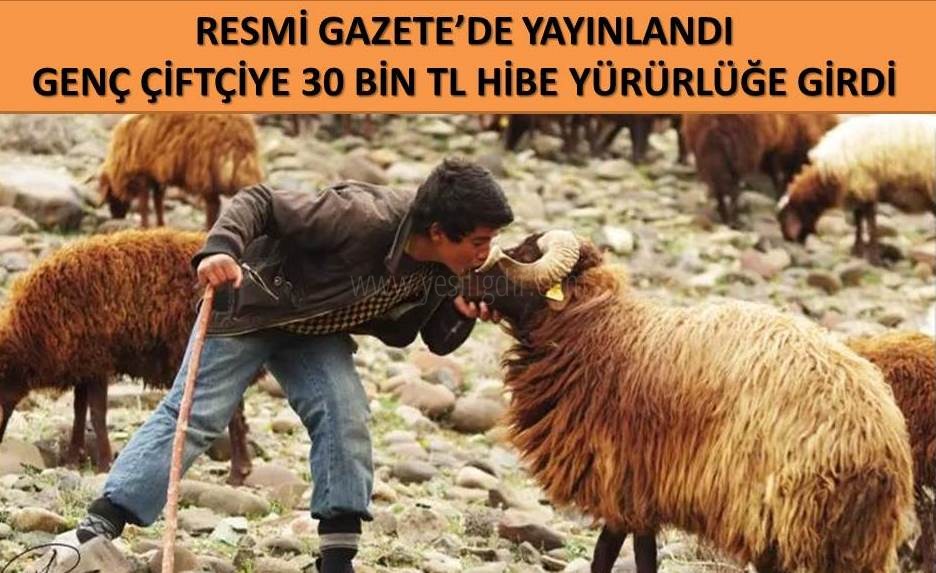 Genç çiftçiye 30 bin lira hibe desteği kararı çıktı