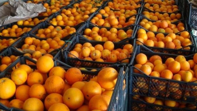 Rusya'ya İhraç Edemediği Portakalları Iğdır'da Satıyor