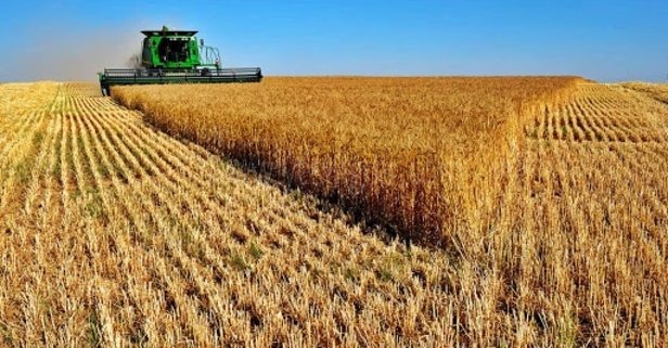 ÇKS YÖNETMELİĞİ HAKKINDA BİLGİLENDİRME TOPLANTISI YAPILDI