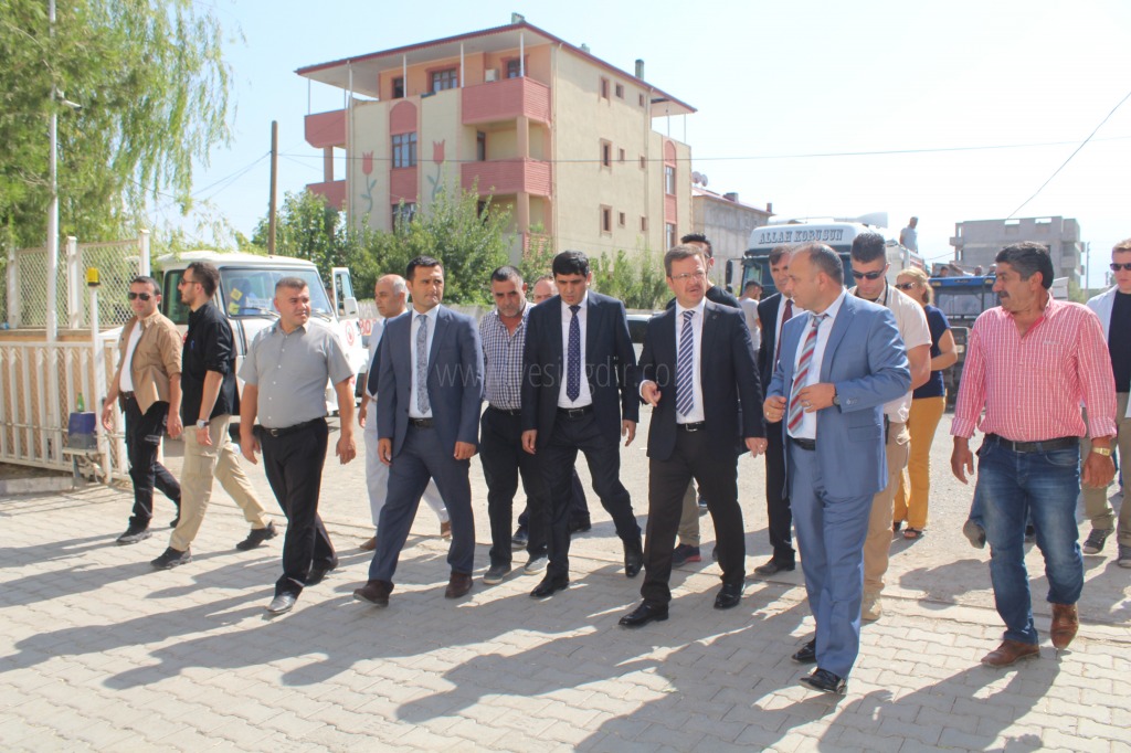 SERTİFİKALI BUĞDAY TOHUMU DAĞITIMI YAPILDI