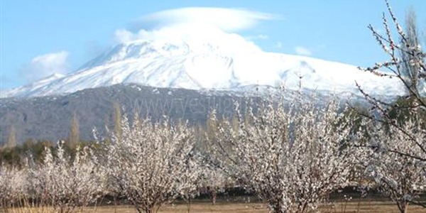 Meteroloji 16 Bölge Sorumluluk Sahası Kars Ağrı Iğdır da Dona Karşı Uyardı