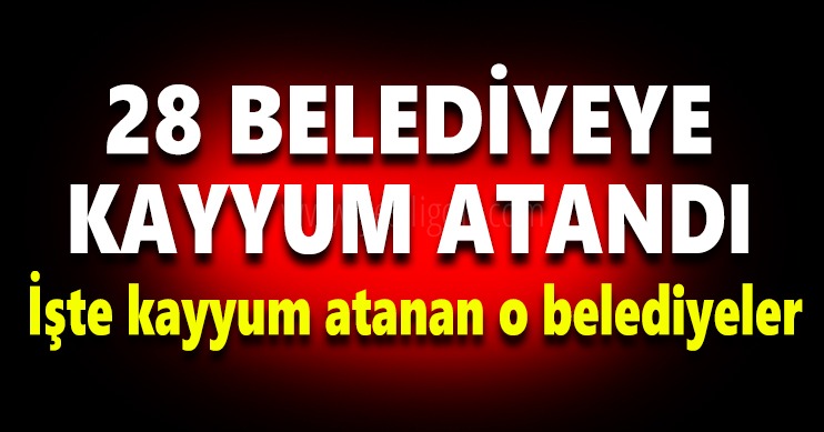 Iğdır'da Dbp'li 2 Belediye Meclis Üyesinin Yerine Kayyum Atandı