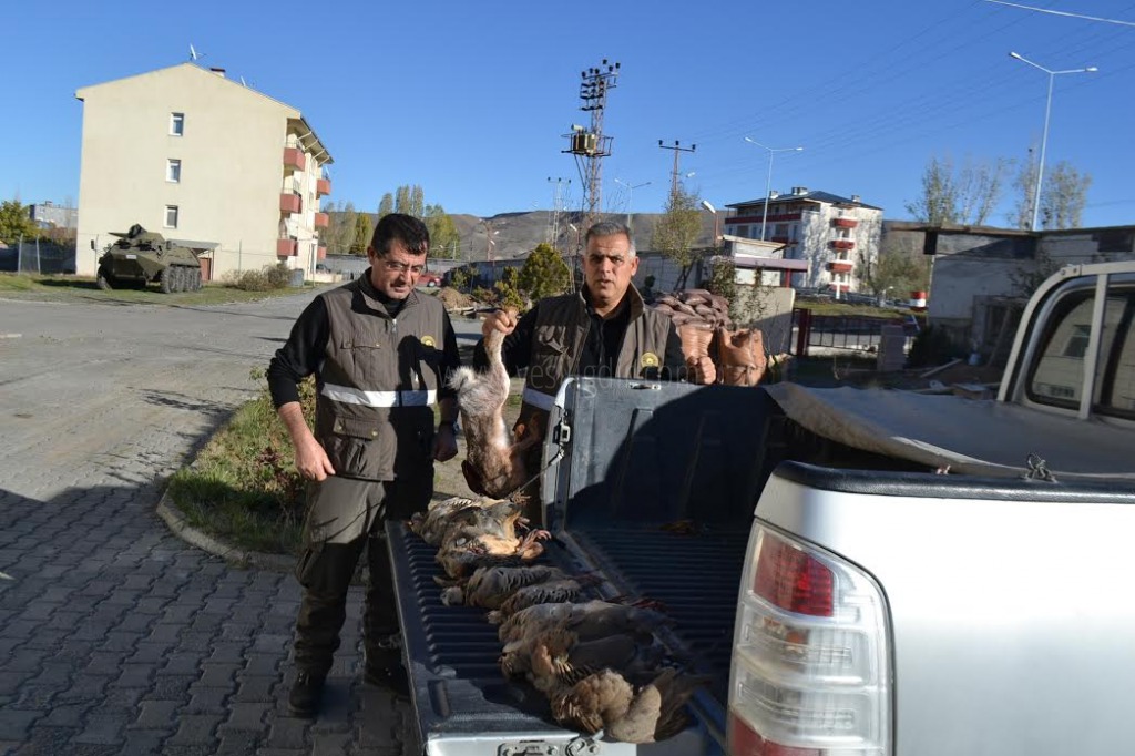 Kaçak Avlanmaya Ceza