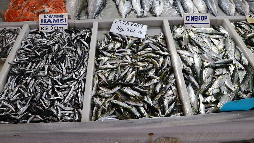 Balık Sezonunda balık fiyatları arttı