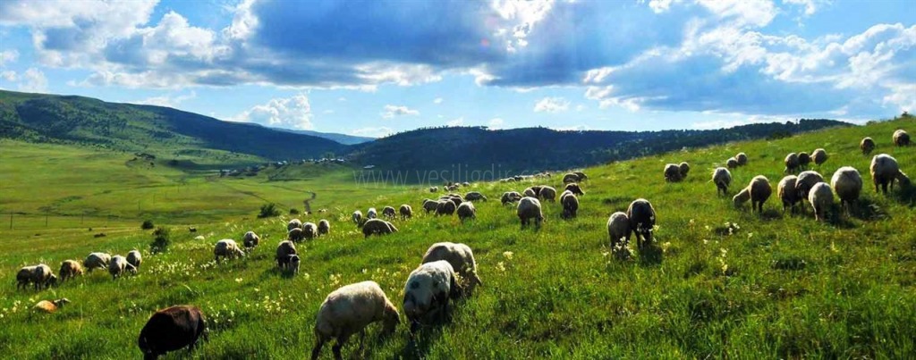 SAHİPSİZ MEMLEKET IĞDIR