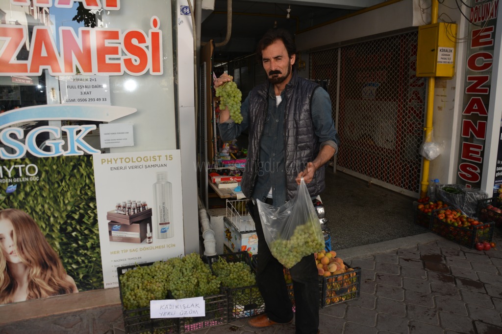 IĞDIRIN YERLİ ÜZÜMÜ PİYASADA