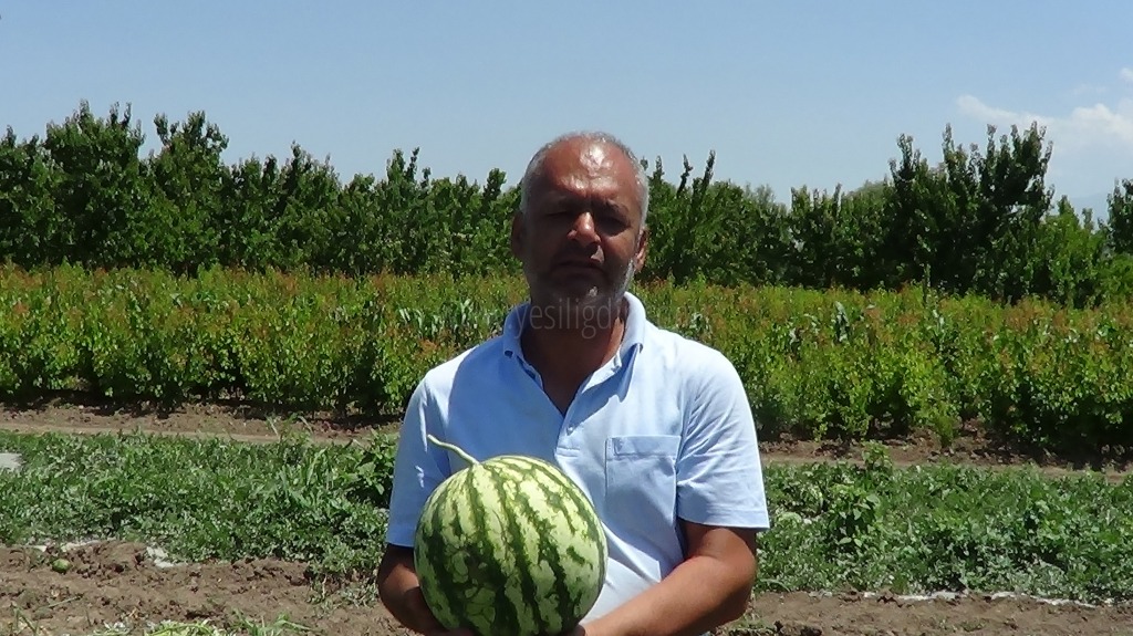 IĞDIRDA ARGE ÇALIŞMASI İLE ÜRÜN BİR AY ERKEN ALINABİLİYOR