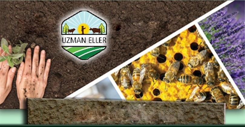 Uzman Eller Projesi Kapsamında 35 çiftçimizin projesi kabul edildi