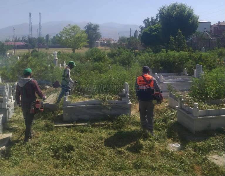 Yabani Otlar Temizlendi İlaçlama Yapıldı