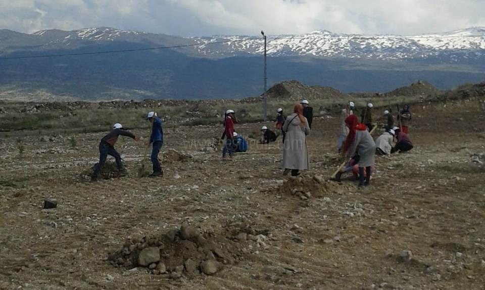 81 ilde aynı anda fidan dikme rekoru kırıldı